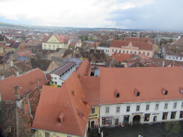 sibiu 6